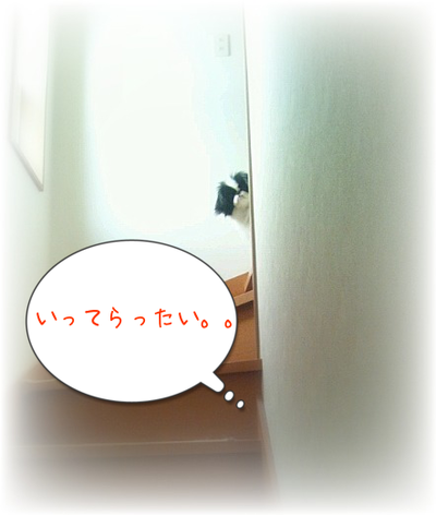 20130315(1).png