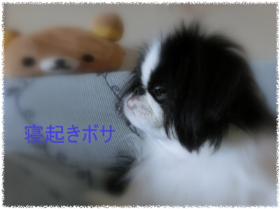 20130925(14.png