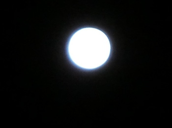 moon (2).jpg